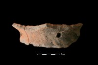 藏品(陶片)的圖片